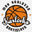 https://img.yuandaea.com/img/basketball/team/0c2f73d2ab7041cf90029a20deff7f17.gif