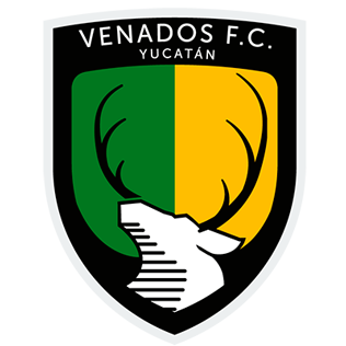 https://img.yuandaea.com/img/football/team/c28028bd9f03205a308a016f39e238f6.png